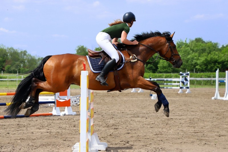 Les équipements indispensables pour commencer l’équitation